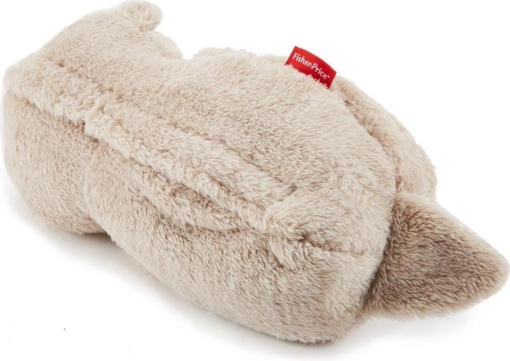 Immagine prodotto Fisher-Price Lontra di sonno (20.30 cm)