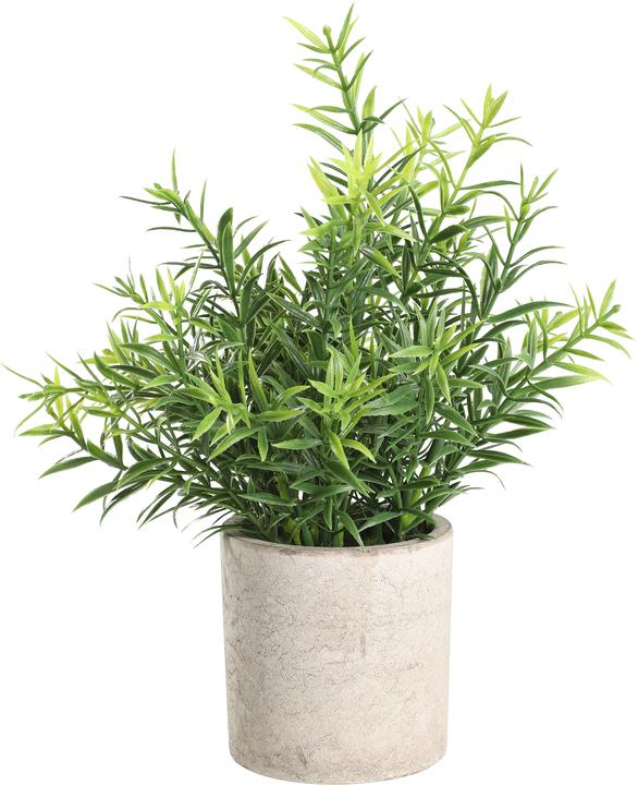 EGLO LIVING Chitose (22 cm)