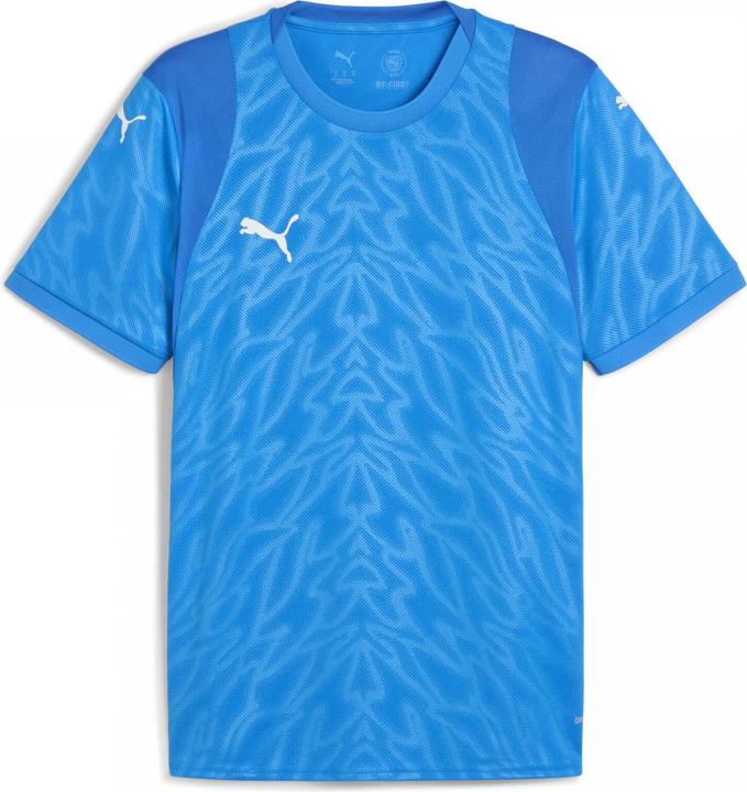 Actual product image Puma teamCUP Jersey (3XL)