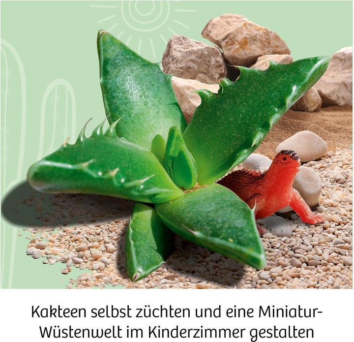 Produktbild Kosmos Kakteen-Wüste