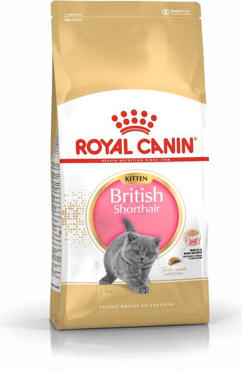 Image du produit Royal Canin British Shorthair (Junior, 1 pcs, 400 g)