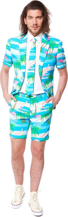 Image du produit OppoSuits Flaminguy (58)