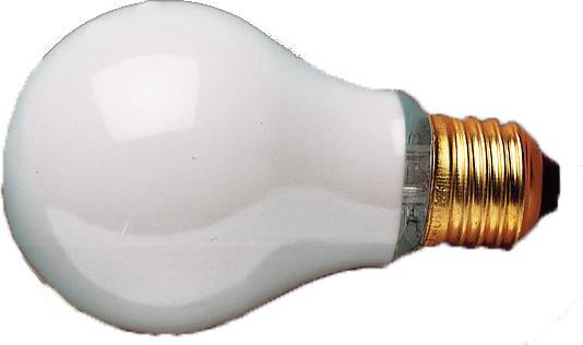 Image du produit Kaiser Fototechnik Lampe opal 150 W, E 27