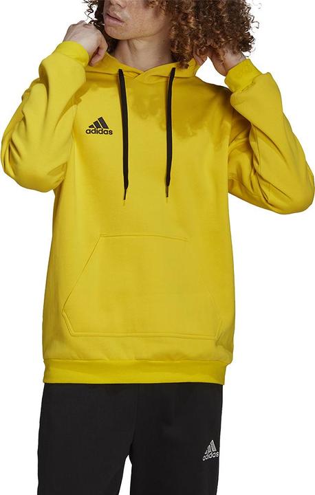 Image du produit adidas Sweat à capuche Entrada 22 Hommes (3XL)