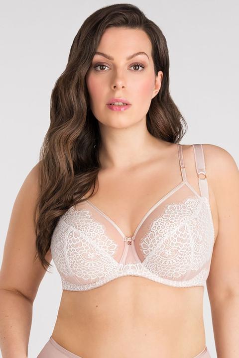 Image du produit Gorsenia Modèle souple (80 K)