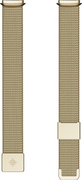 Image du produit Fitbit Bracelet en acier inoxydable de luxe (Acier inoxydable, Taille unique)
