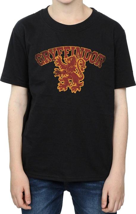 Actual product image Boys Gryffindor Sport Emblem T-Shirt (128)