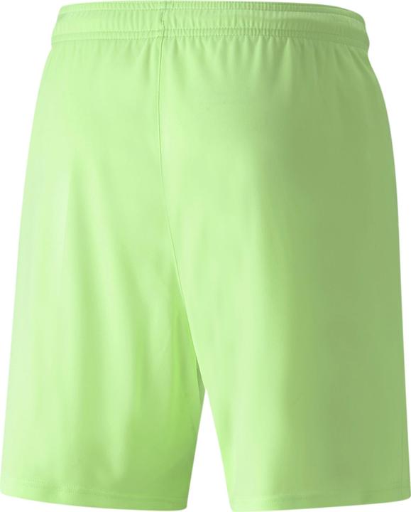 Actual product image Puma teamLIGA shorts (M)