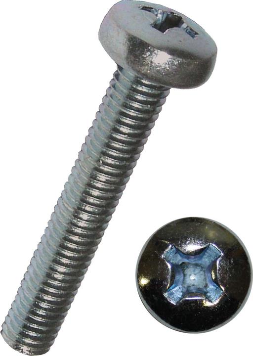 Immagine prodotto Werkstarck Viti in metallo (100 Viti per pezzo)