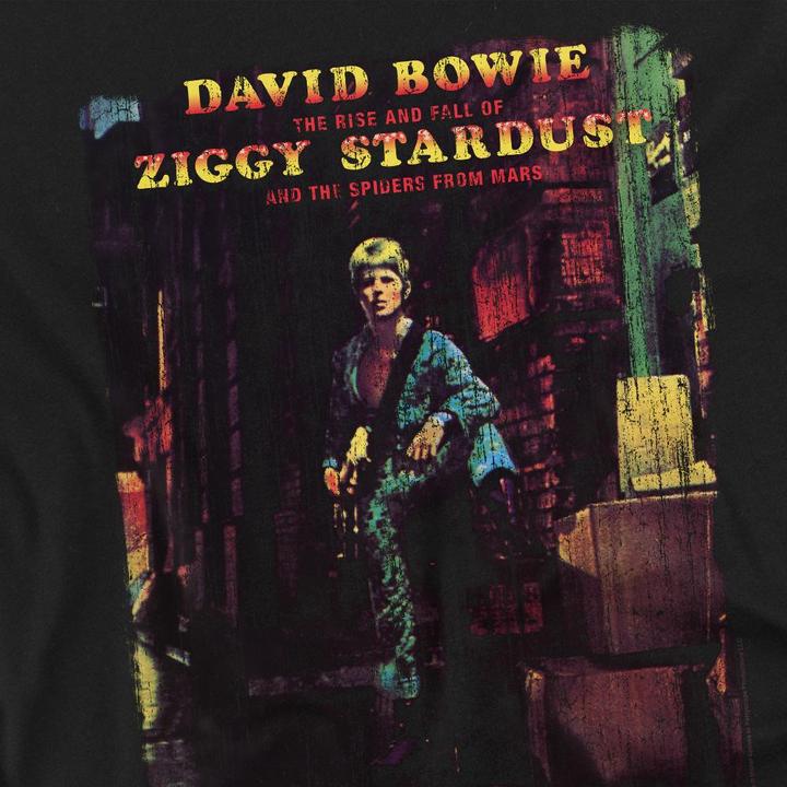 Produktbild David Bowie Ziggy Stardust Album TShirt (S)