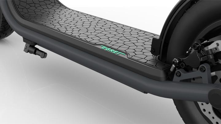 Actual product image Egret X+ (20 km/h, 60 km, 500 W)