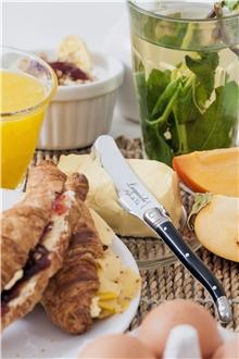 Actual product image Laguiole Premium Line Buttermesser (4 Piece, Knife)