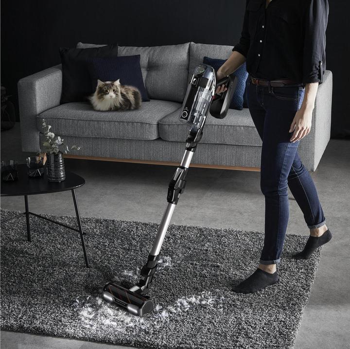 Actual product image Rowenta X-Force Flex 14.60 Animal Care