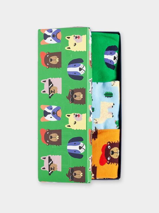 Actual product image DillySocks Pet Family (Box of 3) (pack of 3, 36 - 40)