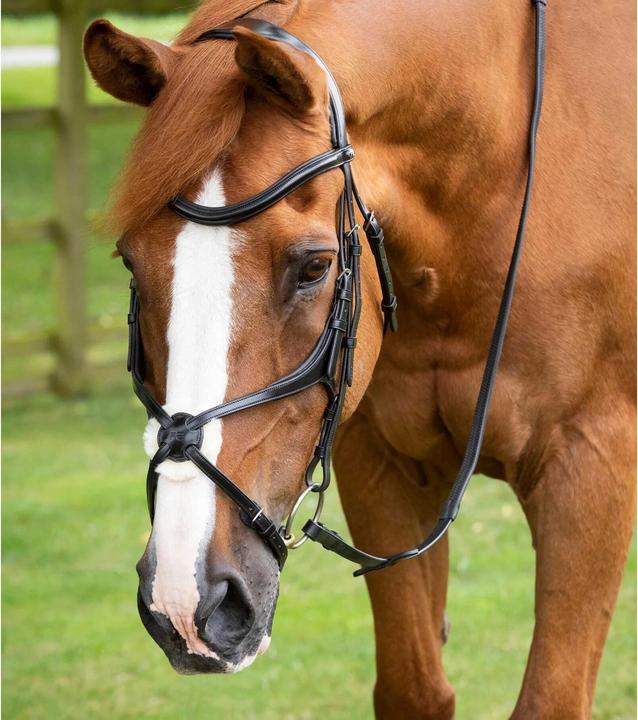 Produktbild Premier Equine Glorioso