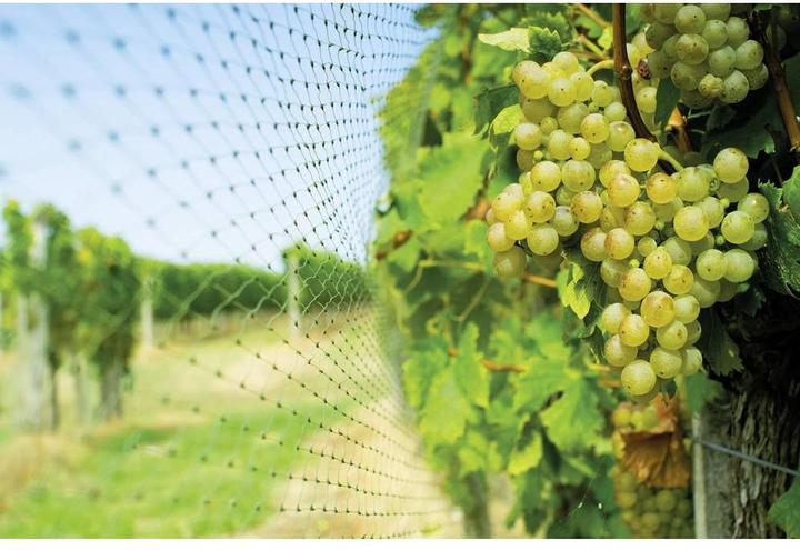 Actual product image Swissinno Bird protection net