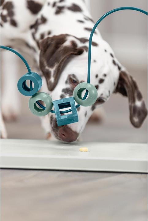 Produktbild Trixie Skills Loop (Beschäftigungsspielzeug Hund)
