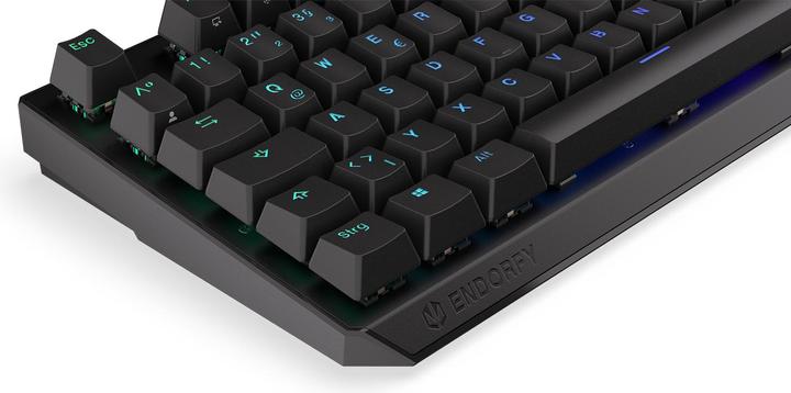 Image du produit Endorfy Clavier Thock (DE, Filaire)