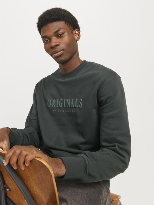 Actual product image Jack & Jones Printed sweatshirt Sweatshirt (XS)