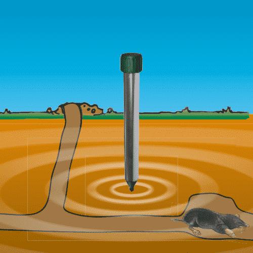 Produktbild Windhager Wühlmaus-Schocker Solar