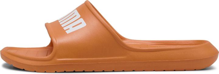 Actual product image Puma Divecat v2 Lite (38)
