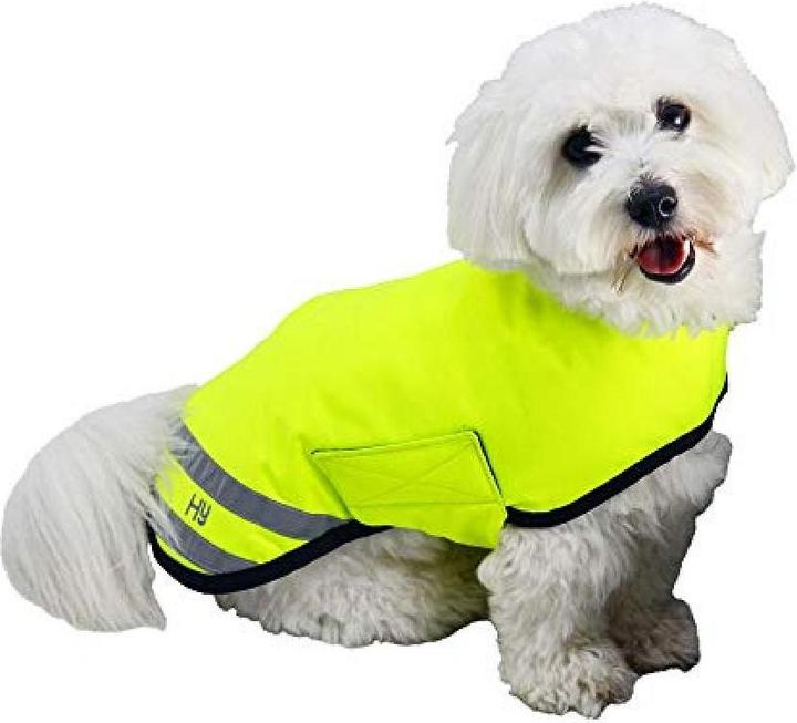 Abbigliamento cani