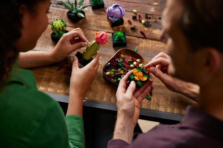Actual product image LEGO Succulents (10309, LEGO Botanical, LEGO Rare Sets)