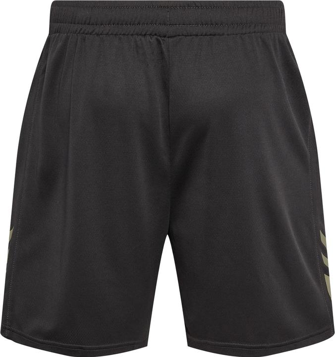 Actual product image hummel Hmlactive Pl Shorts (L)