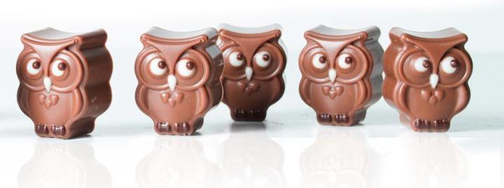 Actual product image Pavoni Chocolate mould owls