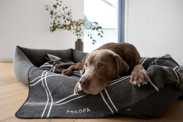 Image du produit Palopa Fred M (Chien)