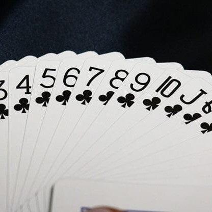 Actual product image Bicycle Party Cup Playing Cards (English)