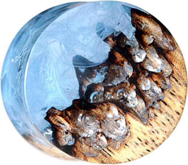 Produktbild Star Piercing Flared Plug Höhle mit Rauch Epoxy blau aus Tamarind Holz (Organisch, ohne Messing)