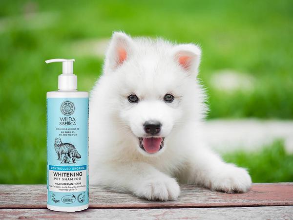 Produktbild Wilda Siberica Spülung WHITENING, 5 l (5000 ml)