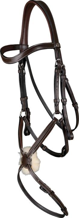 Dy'on Bridle Mexican Working Collection