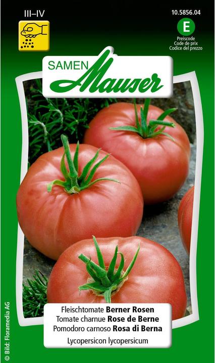 Produktbild Samen Mauser Fleischtomate Berner Rosen (Gemüsesamen)
