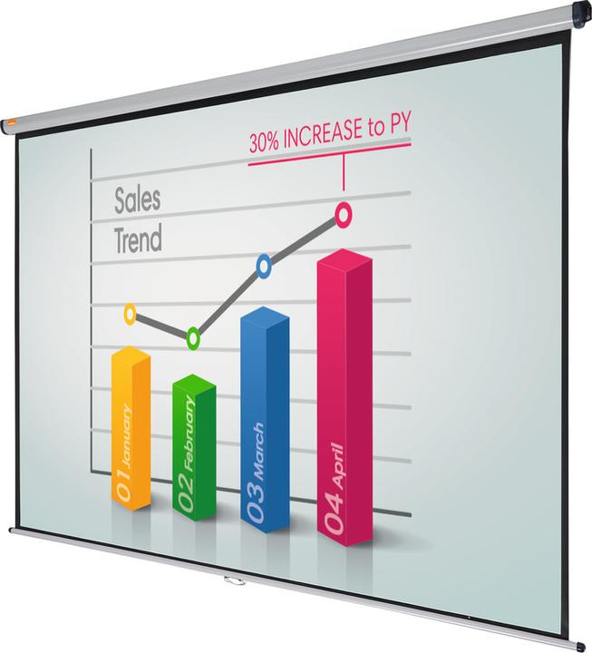 Actual product image Nobo Roll canvas (118", 4:3)