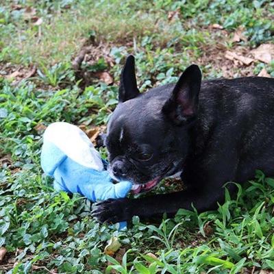 Immagine prodotto Croci Pesce ballerino Spa per cani 27x7cm (Gioco da masticare per cani)