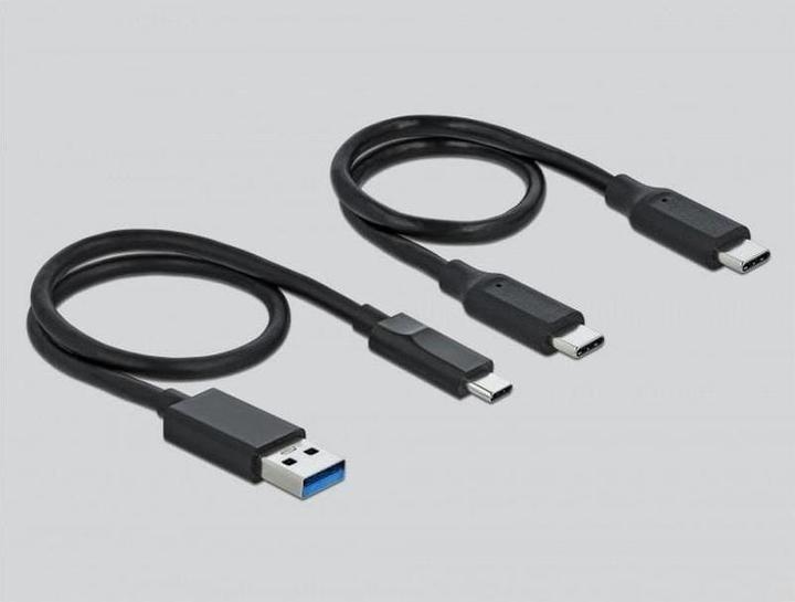 Actual product image Delock Card Reader External 91754 USB-A/C for CF and SD (USB)