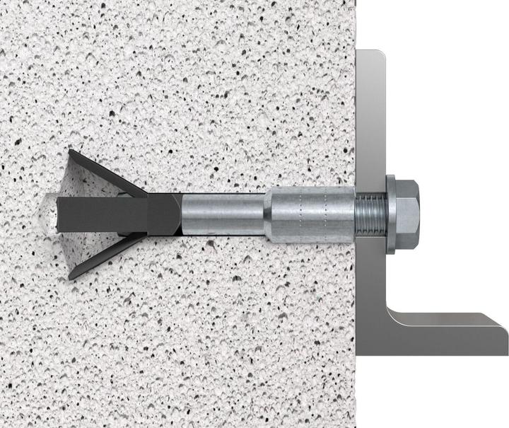 Productafbeelding Fischer Gasbetonanker FPX-I M10 K (2) (2 Pcs.)