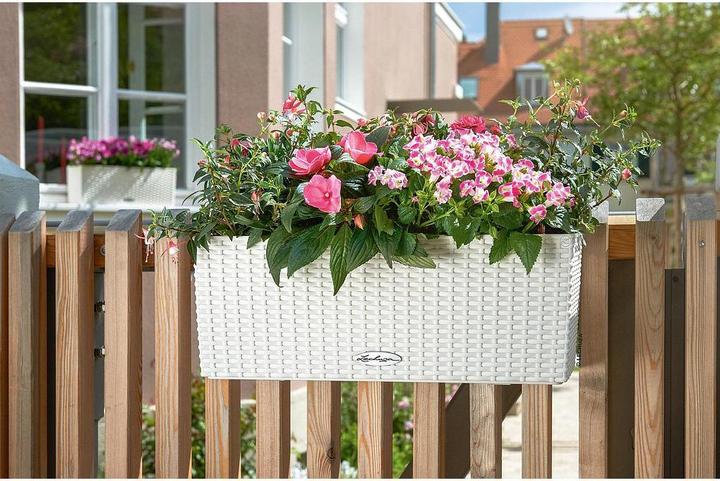 Immagine prodotto Lechuza Fioriera Balconera Cottage 50 (19 cm)