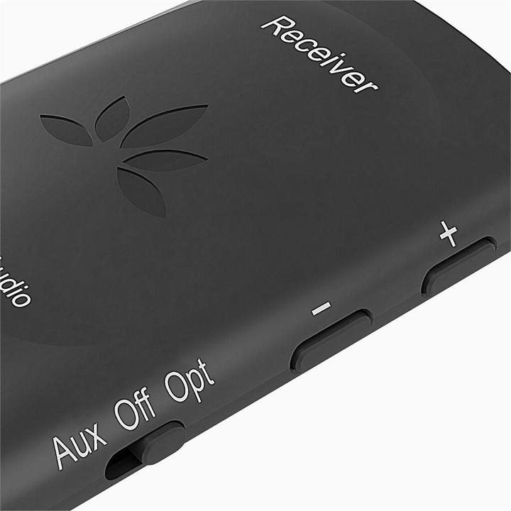 Image du produit Avantree Récepteur WSTR-2403-RX (Récepteur)