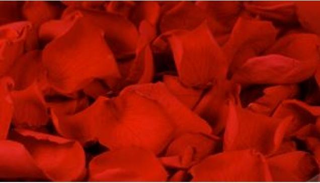 Immagine prodotto CreaDiva Petali di rosa veri, rossi 1 litro