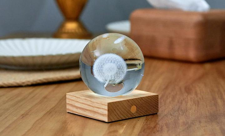 Image du produit Gingko Crystal Light