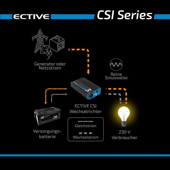 Actual product image Ective CSI 25 Sine wave inverter 2500W 24V