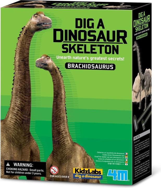 Actual product image 4M Zestaw naukowy Wykopaliska - Brachiozaur