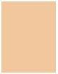 Produktbild MAC Cosmetics Studio Fix Powder Plus Foundation (C5.5)