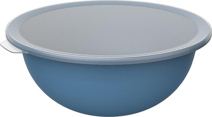 Rotho Caruba (30.50 cm, 4.80 l, 1 x)