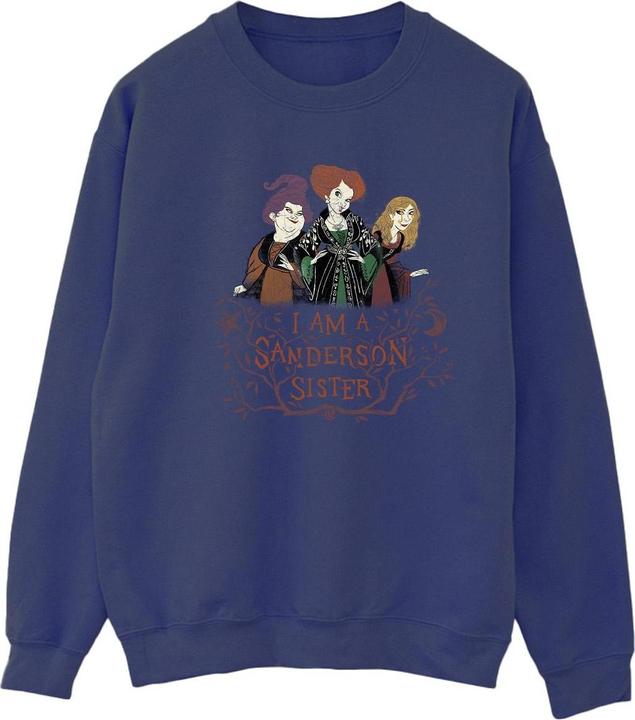 Produktbild Disney Hocus Pocus Sanderson Sister Sweatshirt (M)