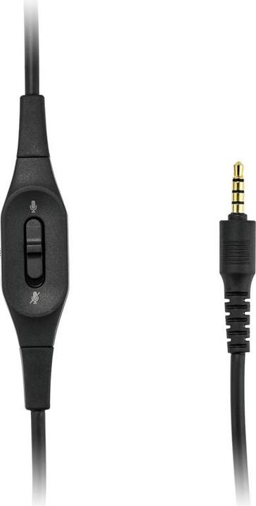 Actual product image Audio-Technica ATH-G1 (Cable)