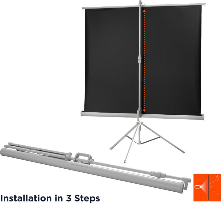 Actual product image Celexon Economy tripod screen - Projection screen with tripod - 280 cm (110") (96.06", 16:9)